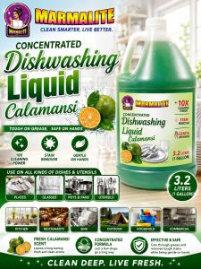 CONCENTRATED DISHWASHING LIQUID CALAMANSI 1 GALLON STAIN REMOVER GENTLE ON HANDS 10X CLEANING POWER