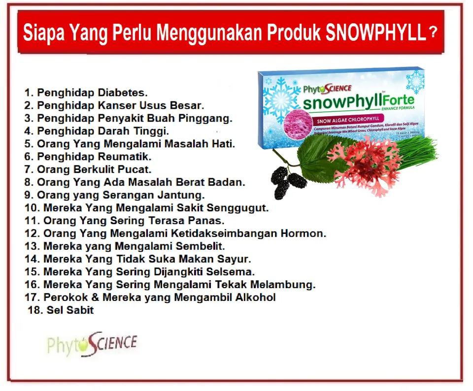 4 Paquets Phytoscience Snowphyll Forte Chlorophylle - Antioxydant, Détox - Neuf