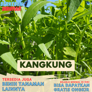 Benih Kangkung super jumbo Daun Lebar Organik untuk Berkebun di Rumah - Paket Hemat Gardeningium