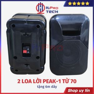 2 Loa Lời Karaoke Loa Treo Tường Peak1 Bass 12 200W-8 Ôm Nghe Hay Dùng Cho Quán Cafe Nhà Hàng-Tặng 6M Dây-H2Pro Tech