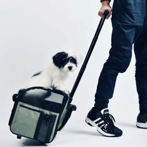 Pet Trolley Stroller Foldable Backpack Trolley Case Pet Cat Dog Carrier With Wheels Load 10KG Airline Approved