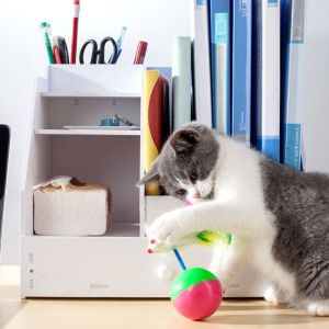 Đồ Chơi Bóng Chuột Lật Đật cho Mèo