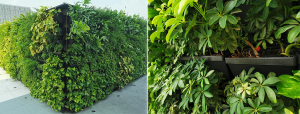 X1 Krip N Go Set กระถาง สวนแนวตั้ง (Vertical Garden) KREEN+ รุ่น Krip N Go