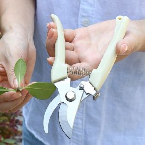 Kéo Cắt Cành Chuyên Dụng Tỉa Cây Cảnh Bonsai Lưỡi Thép Không Gỉ