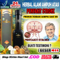 Obat Stroke Paling Ampuh Anak dan Dewasa, Sebelah Kiri dan Kanan, Herbal Mbiopro, Stroke Hemoragik, Iskemik, Demensia, Stroke Ringan, Berat, Struk, Bibir Monyong, Bells Palsy, Wajah Kaku Sebelah, Mbiopro Herbal Alami. 