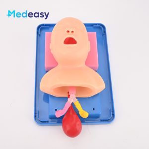 Neonatal Tracheal Intubation Training Model Newborn Endotracheal Intubation Manikin