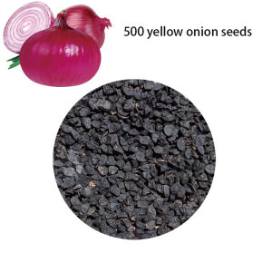 High-yield Red onion Seeds White or yellow onion seeds for home and manor planting