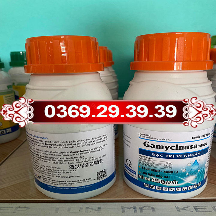 Thuốc GAMYCINUSA 150SL phòng trừ vi khuẩn hại cây trồng | Lazada.vn