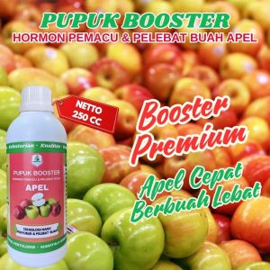 Pupuk Booster Buah Apel Pupuk Pelebat Buah Apel Berkualitas Pupuk Organik Cair Apel Pupuk Cair Apel