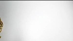 He Asked She Said Yes Gold Glitter Banner - Wedding Engagement Bridal Shower Party Decorations