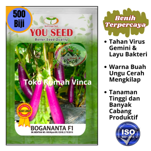 Benih Bibit Terong Ungu Tahan Virus dan Layu BOGANANTA F1 Cap You Seed