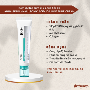 Kem dưỡng 60ml làm dịu phục hồi da ANUA PDRN HYALURONIC ACID 100 MOISTURE CREAM