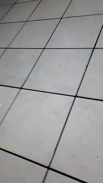 Buyer review video 3