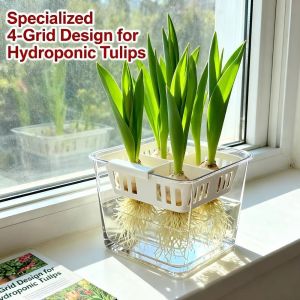 OKDEALS01 4 Grids Hydroponics Nursery Pots Planter Containers Clear Tulip Bulb Planter Flower Pot Double Layered Corm Plant Growing Pots Home Decoration