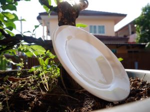 จานเซรามิค จาน5นิ้ว จานขนม จานสีขาว