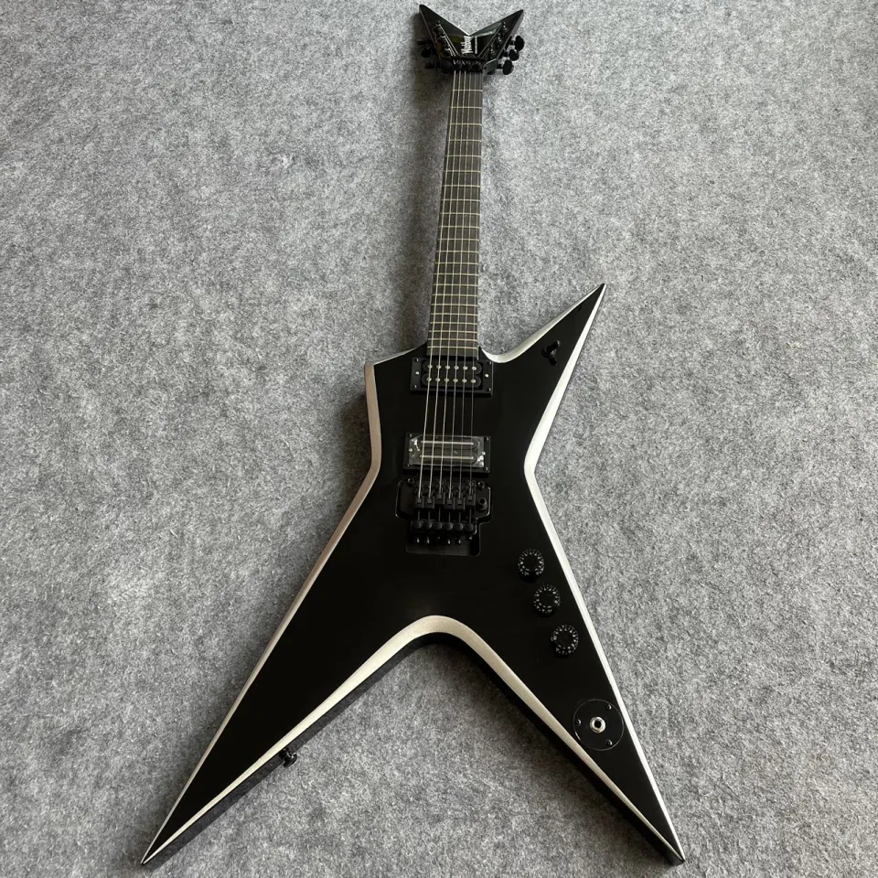 Washburn Dimebag Darrell Signature Model Electric Guitar Floyd