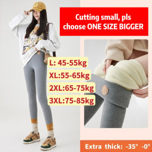 (SG Seller) Winter Thermal Leggings Women Extra Thick Fleece Lined Warm High Waist Stretch Pants Cold Weather-PL104