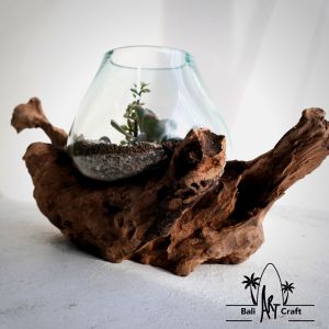 AKUARIUM IKAN CUPANG SIZE XXL KAYU TINGGI / KACA TIUP DAN AKAR BALI / AQUASCAPE / AQUARIUM UNIK GLASSWOOD /BETA FISH / WOODEN CRAFT / VASES / POT TANAMAN HIAS / KACA BULAT / SENI BALI