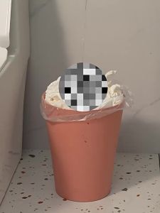 【eoxjk】8L-15L sampah mewah ringan boleh dengan tudung Pedal a Nordic kapasiti besar tangan tekan tandas yang dikendalikan kaki Wastebasket ruang tamu rumah kalis air tong sampah untuk bilik mandi dapur