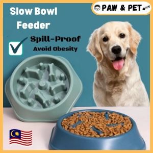 Pet Slow Feed Bowl Anti Choking Spill Proof Dog Cat Eat Bowl Interactive Plastic Bloat Dishes Single Bowl Bone Design
