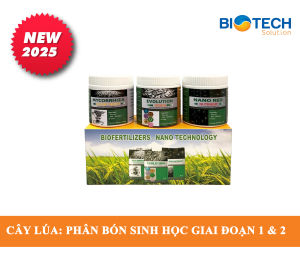 Nano Red 1 Phân bón sinh học cho cây lúa giai đoạn nuôi thân và lá hộp gồm 3 chai x 50 gram