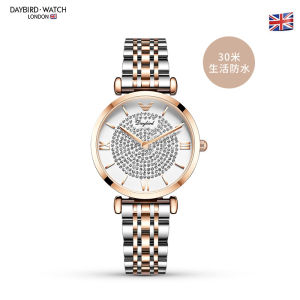 Deyi Bird A Fashion Starry Sky Simple Womens Watch with Diamonds Stainless Steel Quartz Watch Waterproof Ferris Wheel Womens Watch