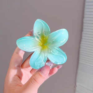 PinSan Colorful Flower Hair Clip for Women Girl Plumeria Flower Beach Hairpin Barrettes Accessories