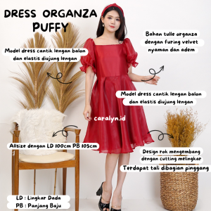 DRESS ORGANZA PUFFY DEWASA