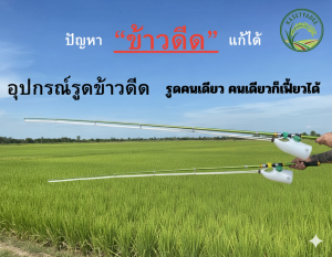 กระบอกรูดข้าวเดียวแบบคนเดียว