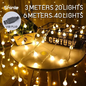 3M/6M LED Small Ball String Light USB Christmas Wedding Fairy Light Party Garden Decor Tent Lights