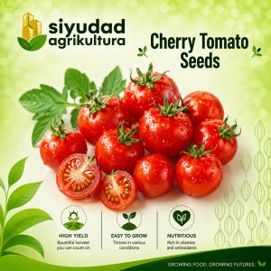 Repacked Mini Cherry Tomato Seeds | High Yield Disease Resistant Easy-Grow Vegetable Seeds for Filipino Gardening Home Garden Backyard & Urban Farming