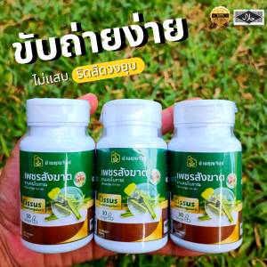 ส่งฟรี 3กระปุก บ้านคุณจันทร์ สมุนไพรริดสีดวง บ้านคุณจันท์ เพชรสังฆาต 30แคปซูล