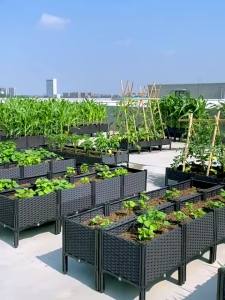 Rectangle Plant Pot Large Planter Box Internet Hot Outdoor Vegetable Planting Planter Box Planting 35