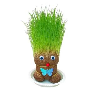 Grass Head Decor Children Growing Grass Doll Toys Office Table Plant Decor Grass Head Doll Planting