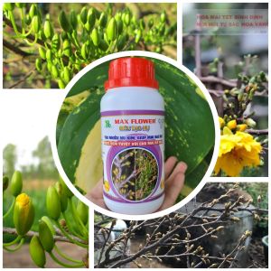 [Freeship Max] Phân bón SIÊU TẠO NỤ chai 250ml giúp mai vàng ra nhiều nụ kim nụ khỏe mập mạp_VTNN TRUNG THIEN THINH