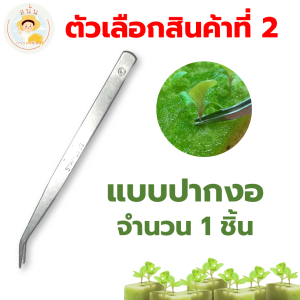 (พร้อมส่ง) ฟอร์เซป ที่คีบเมล็ด สแตนเลส ปากคีบ ปลายตรง ปลายงอ คีบต้นกล้า คีบเมล็ดพันธุ์ อเนกประสงค์