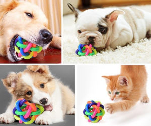 Bóng Cầu Vồng Đồ Chơi Cho Chó Mèo Vui Chơi - Bóng Chuông Cầu Vồng