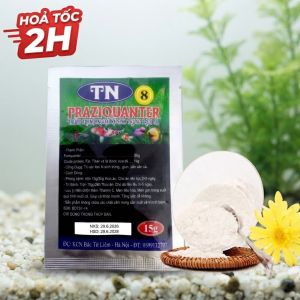 Praziquantel TN 8 Nội ngoại ký sinh trùng trên cá 15Gr
