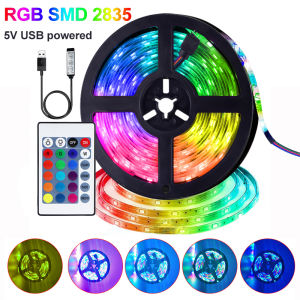 สินค้าพร้อมส่ง + ฟรี แถบไฟ LED ยืดหยุ่นเทปไดโอด DC 5V แถบไฟ LED SMD2835 24ปุ่มควบคุม USB โคมไฟ RGB สำหรับทีวีติดผนังบ้านไฟแบ็คไลท์ตกแต่ง