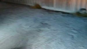 ไฟเลี้ยวกระพริบปกติ LED 35ชิพ DC12V สว่างส้มอำพัน สนุกสนุก กดเลือกขั้วตามที่ต้องการ 1 คู่