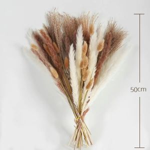 Pampas Grass Bundle - Dried Rattan Reeds for Home Decor Wedding Centerpieces Christmas Party Supplies No Electricity Needed Featherless