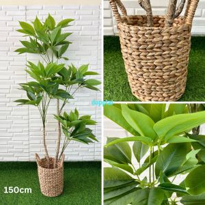 Pohon Artificial Tanaman Hias Daun Manggis T150 & T170 Latex Cover Pot Eceng Gondok Handle Dekorasi Apartemen