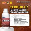 AUSSIE - Obat Jamur Ganoderma Sawit dan Pembesar Buah Sawit - Aussie Distributor Utama. 