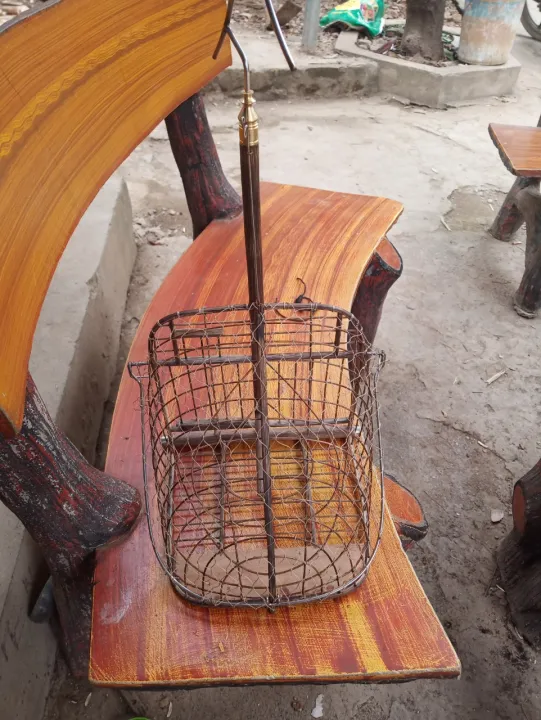 L%E1%BB%93ng%20b%E1%BA%ABy%20chim%20C%C3%A2y%20l%E1%BB%A5i%20-%20Image%201