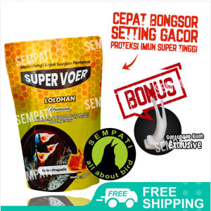 SEMPATI FREE GANTUNGAN BUAH Super Voer Lolohan Pakan Makanan Piyik Bayi Anak Burung Murai Kacer Trotol Bubur Loloh High Protein Propolis De Premium SPVOER