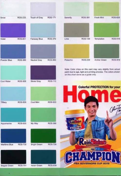 Rain or Shine Elastomeric Wall Paints 1 Liter | Lazada PH