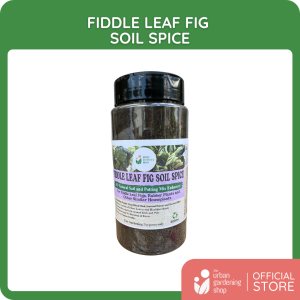 Fiddle Leaf Fig Soil Spice - All Natural Additive and Plant Food for Fiddle Leaf Figs Rubber Plants and other Ficus Varieties
