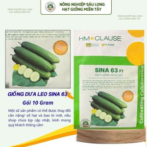 Hạt giống Dưa leo Sina 63 10gr - HmClause (ÉN VÀNG)