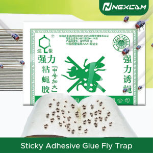 Nexcam DaHao Super Adhesive Sticky Fly Trap Paper
