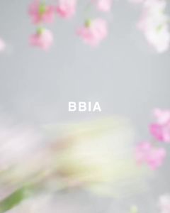 BBIA Last Blush NEW 15 Colors - Cheek Blush Shaping Shading Contour & Highlight Long-Lasting Matte Finish Natural Shades Buildable & Blendable Daily Korean Face Makeup (01 FORGET ME NOT Pack of 1)